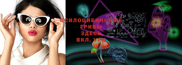 круглые Алзамай